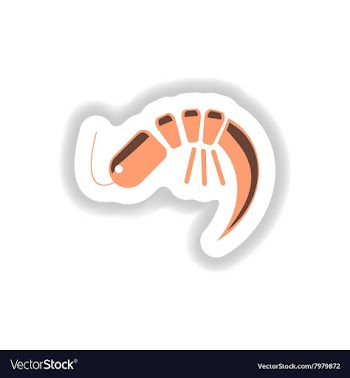 Stylish paper sticker on white seafood shrimp vector image