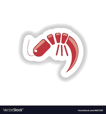 Stylish paper sticker on white seafood shrimp vector image