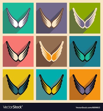 Stylish set wings of an eagle vector image