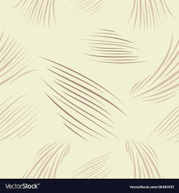 Stylish striped patterns fashionable texture vector image