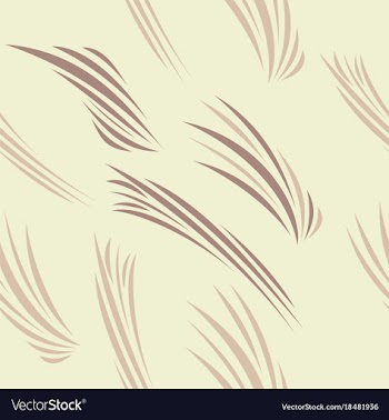 Stylish striped patterns fashionable texture vector image