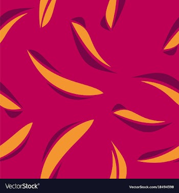 Stylish striped patterns fashionable texture vector image