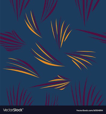 Stylish striped patterns fashionable texture vector image