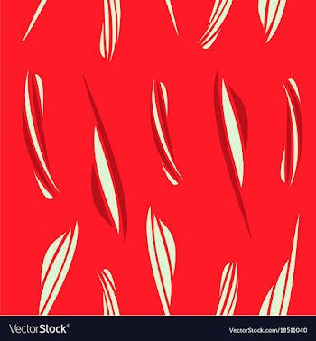 Stylish striped patterns fashionable texture vector image
