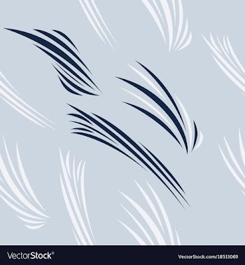 Stylish striped patterns fashionable texture vector image