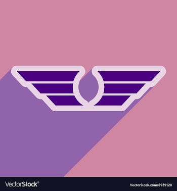 Stylish wings of an eagle vector image