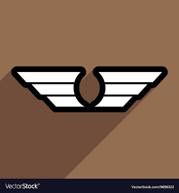 Stylish wings of an eagle vector image