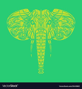 Stylized ethnic boho elephant portrait isolated vector image