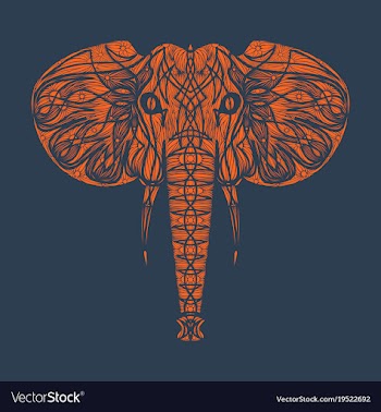 Stylized ethnic boho elephant portrait isolated vector image