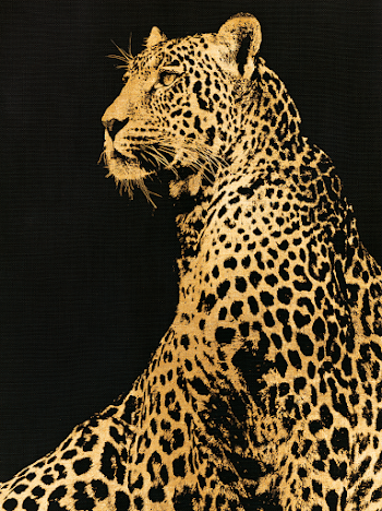 Stylized Golden Leopard on Black Textile