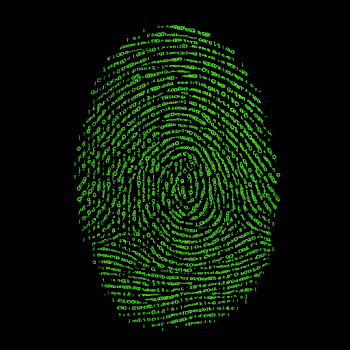 Stylized Green Fingerprint Icon with Matrix Code