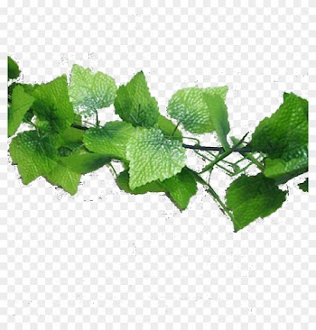 Su Shi Rattan Wall Hanging Fake Flower Vine Decorative - Herbal