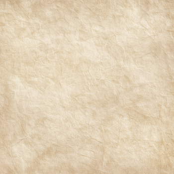 Subtle Warm Parchment Texture