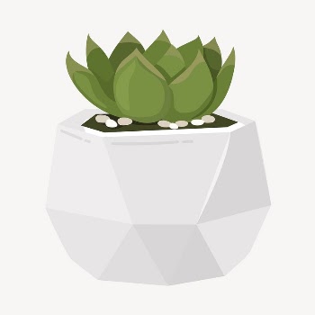Succulent collage element, cute cartoon | Free Vector Illustration - rawpixel