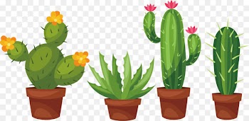 Succulent plant Cactaceae Prickly pear Clip art - Hand-painted palm potted cactus 