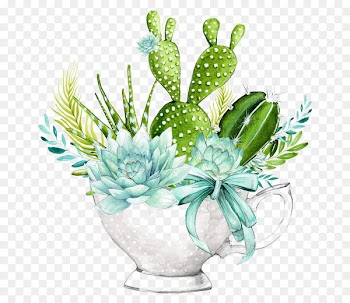 Succulent plant Cactus Wedding invitation Baby shower Mammillaria - cactus 