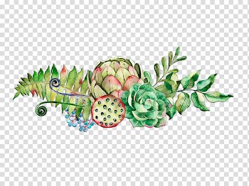 Succulent plant Poster Watercolor painting, Lotus Shower transparent background PNG clipart