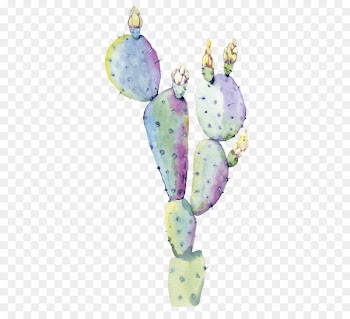 Succulent Plant, Watercolor Flowers, Watercolor Painting, Cactus, Violet PNG