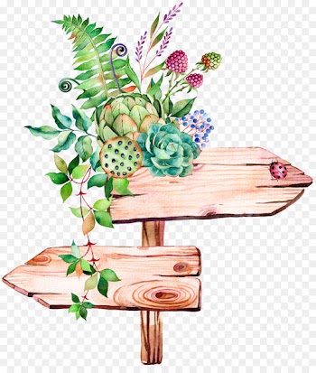 Succulent plant Watercolor painting Illustration - Hand-painted signs 