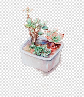 Succulent plant Watercolor painting Illustration, plant transparent background PNG clipart