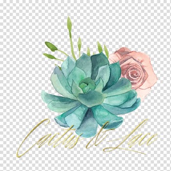 Succulent plant Watercolor painting, watercolor cactus transparent background PNG clipart