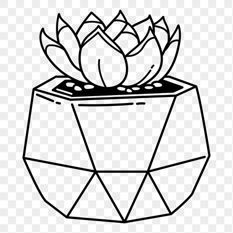 Succulent png doodle sticker, black | Free PNG Illustration - rawpixel