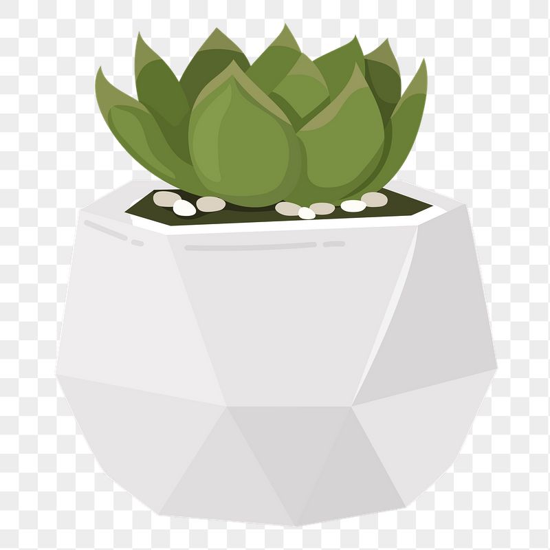 Succulent png sticker, cute illustration, | Free PNG Illustration - rawpixel