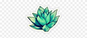 Succulent Sticker On Redbubble - Stickers Tumblr Art