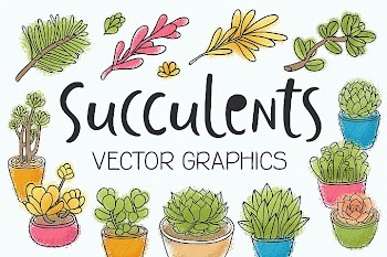 Succulents 14 vector illustrations