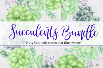 Succulents Bundle