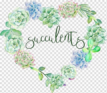 Succulents illustration, Wedding invitation Paper Succulent plant Watercolor painting , suculent transparent background PNG clipart
