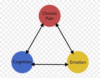 Such As The Effect Of Pain Relief Medications On The - Employee Experience Definition