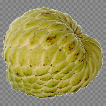 Sugar Apple Download Transparent PNG Image