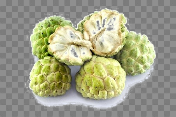 Sugar Apple Free PNG Image