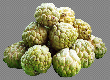 Sugar Apple PNG Background Image
