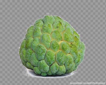 Sugar Apple PNG Image Background