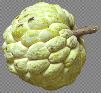 Sugar Apple PNG Pic