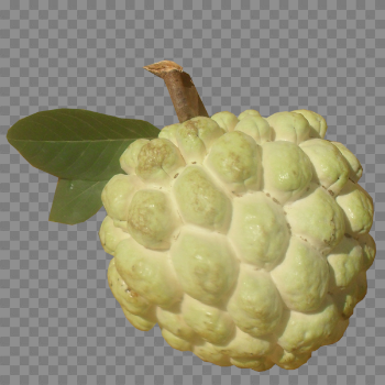 Sugar Apple PNG Picture