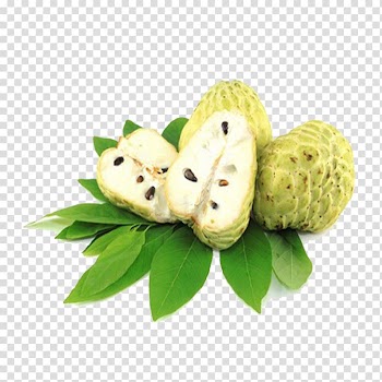 Sugar-apple Sugar apple Fruit White sapote, apple transparent background PNG clipart