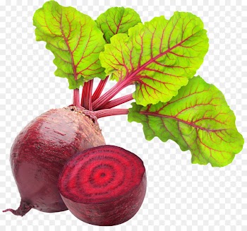 Sugar beet Carpaccio Beetroot Food - beetroot 