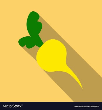 Sugar beet isolated - healthy vegetable nutrition vector image