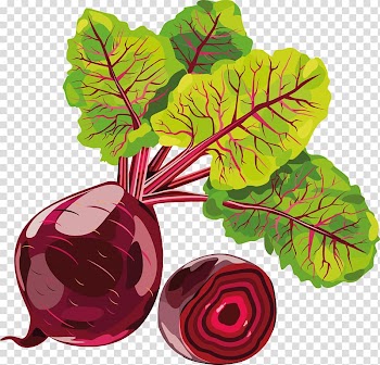 Sugar beet Vegetable Beetroot Radish, Beet transparent background PNG clipart