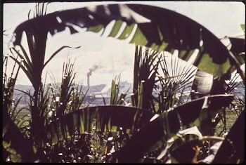 Sugar Cane and Refinery near Aguada. | Free Photo - rawpixel
