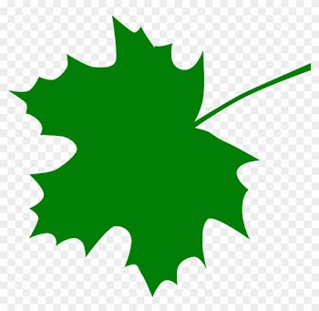 Sugar Maple Leaf Clipart Free Clip Art Images - Emblem