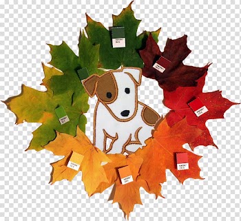 Sugar maple Light Autumn leaf color Maple leaf Tree, double eleven festival transparent background PNG clipart