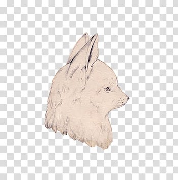 Sugar rush S, white animal illustration transparent background PNG clipart