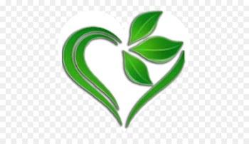 Sugar substitute Vegetarian cuisine Veganism Nutrition Health -  