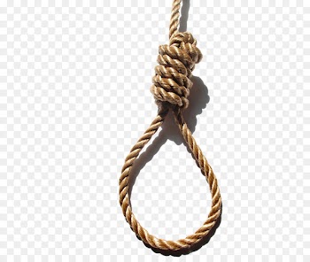 Suicide by hanging Knot Noose Suicide by hanging - Horse grass rope 