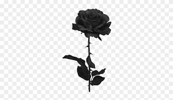 Suicide Clipart Rose - Black Rose Png