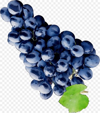 Sultana Grape Zante currant Seedless fruit Energy shot -  